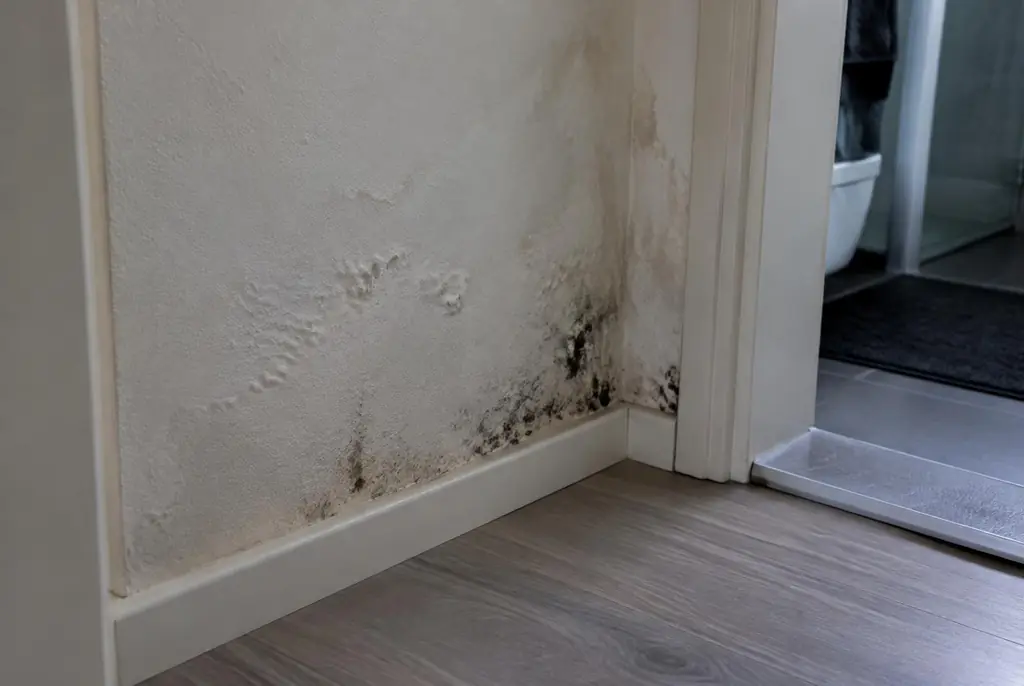 Lekdetectie Rhenen – vochtplek met schimmel op een muur